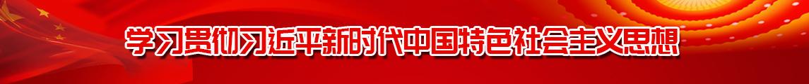 学习贯彻习近平新时代中国特色社会主义思想