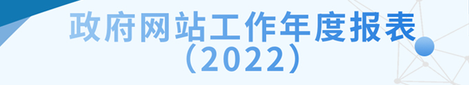 2022年政府网站年度工作报表